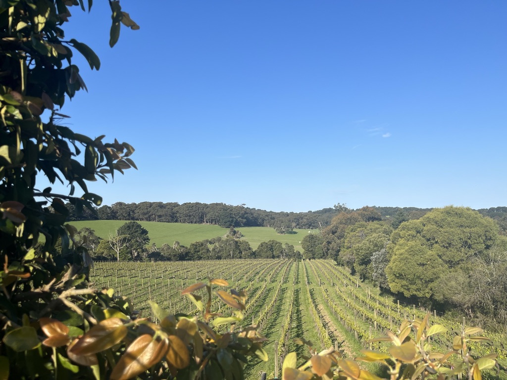 Discover Wineries, Beaches, and Nature Walks in Mornington&nbsp;Peninsula